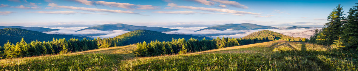 Virtuves panelis dizains SPJ 012